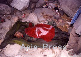 ネパール 王国のマオイストたち 第5回