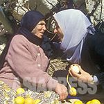 【写真展と上映】古居みずえ 「パレスチナの詩」（島根・松江市・出雲市）