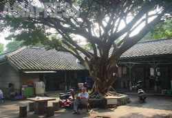 台湾～「楽生院」