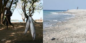 東ティモールの光と影 (3) 渋谷敦志