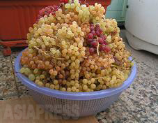 イラン~つぶやき日記・温泉紀行(1)【大村一朗】