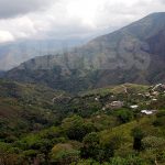 【コロンビア 　復権を求めて立ち上がる「先住民族」/ 柴田大輔】 第７回 コカを作る人びと （２）