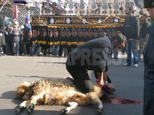<イラン>シーア派最大行事アーシュラーに沸く