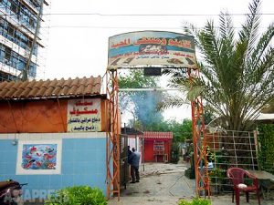 [玉本英子] 現場日誌<br> バグダッド ４月３０日　魚レストランで