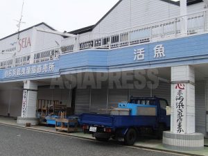 海の汚染 再起に踏み出せず~福島・いわき沿岸地(2)