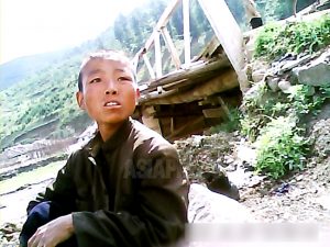 【写真特集】金正恩時代のコチェビ(4)