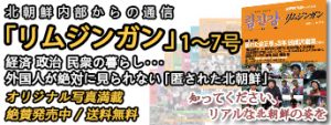 リムジンガン1号~7号