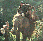 吉田敏浩　プロフィール