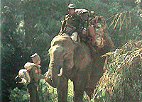 吉田敏浩 プロフィール