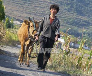 ＜写真報告＞北朝鮮で最も貧しい農村の女性の姿(1)　生産者なのに収奪で困窮(5枚)