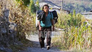 北朝鮮の食糧難は誇張？「数百万人に危機迫る」のに米価安定の謎を解く