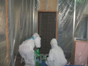 <長野県飯田市アスベスト飛散事故>曝露した子どもたちその後、放置状態か