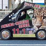 ＜住民投票直前ルポ＞大阪市廃止で危うくなる介護保険制度　「命の問題」と専門家