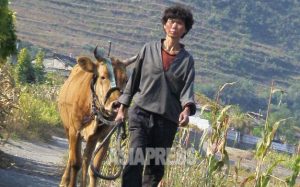 ＜北朝鮮内部＞「隠し畑」の全廃を命令　個人農許さずと強行　農民は餓えを心配