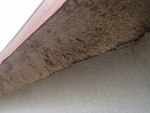 大阪・堺市でまたアスベスト違法工事か 試料採取で「全面に」対策と発表 何があった?