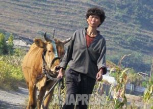 <北朝鮮内部>飢える農民に食糧を緊急配布 飢餓拡大を憂慮 「栄養失調で起き上がれない農場員も」