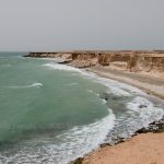 Cuestión del Sahara Occidental perseguida mediante al tema de pulpo – desde el mercado central de Tokyo a la ultima colonia en Africa –