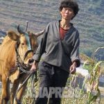 ＜北朝鮮内部＞金正恩氏肝いりの麦収穫　軍隊に搬出命令で農民不満　市場でも流通