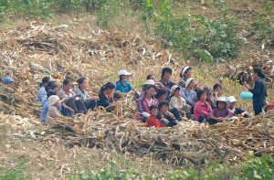 ＜北朝鮮内部＞農場現地からの最新報告（4） 超望遠レンズで撮影した農村の今-上　農作業に動員された人々の姿（写真5枚）
