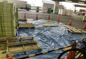 大阪市・中央卸売市場で吹き付けアスベスト落下 市が安全確認なしに利用再開で法違反の可能性
