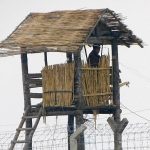 ＜北朝鮮水害＞朝中国境の一部で鉄条網や監視装備ずたずた　逃亡を警戒し住民を川沿いの復旧作業から遠ざける