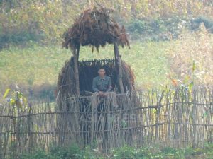 <北朝鮮特集>金正恩氏が挑む農政改編とは何か(9) 農民個人の食糧販売を厳しく統制 食糧流通の国家独占は定着するか?