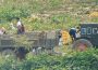 ＜北朝鮮漆黒のコロナの4年を照らす＞（11） コロナの混乱に乗じ「トンチュ」が農業経営に進出の驚き　生産性が飛躍的に向上