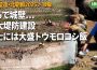 <北朝鮮超望遠動画>まるで城壁…鴨緑江で巨大堤防工事 動員兵士の昼食は大盛トウモロコシ飯 <北朝鮮超望遠動画>まるで城壁…鴨緑江で巨大堤防工事 動員兵士の昼食は大盛トウモロコシ飯