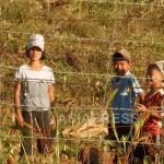 ＜北朝鮮現地調査＞注目の金正恩式新農政　その成績表は？（2）　分配めぐり国家と農民が対立　下落する現金での支給に農民が怒り　（写真4点)