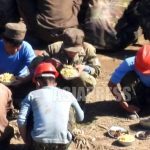 ＜北朝鮮内部＞住民へのトウモロコシ販売量が大幅増加！　昨年比2倍以上　「食べる心配」は一息