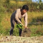 ＜北朝鮮現地調査＞注目の金正恩式新農政　その成績表は？(1)  収穫良好、分配も増加し農民は安堵　一方で不満も…咸鏡北道