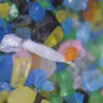 カラーサンドなど子ども向け「遊び砂」のアスベスト、事業者検査でも次々検出　「基準内なら問題ない」は本当か？　実際には基準超の製品も