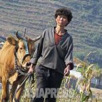 ＜北朝鮮内部＞没収した個人耕作地を当局が企業や機関に貸して金儲け…「収穫の40％を上納せよ」