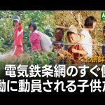 ＜北朝鮮動画＞電気鉄条網の側で子供たちが奉仕労働　「労働を愛する心を育む」を口実に動員