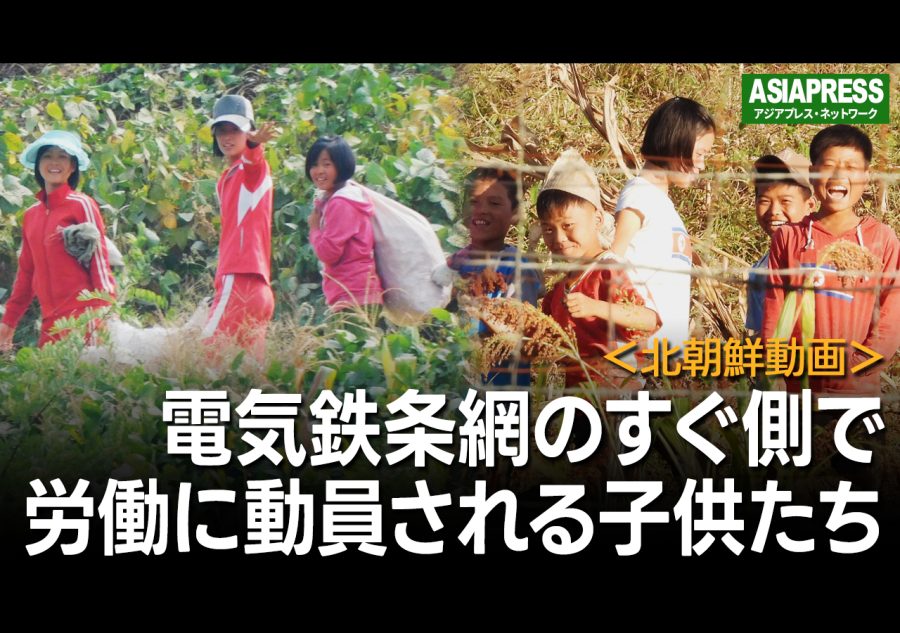 ＜北朝鮮動画＞電気鉄条網の側で子供たちが奉仕労働　「労働を愛する心を育む」を口実に動員