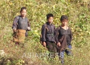 ＜北朝鮮内部＞野草食べて母娘が中毒死　農村では行き倒れも…インフレと「春窮」で脆弱層に飢えが拡大　当局は自助努力促すばかり
