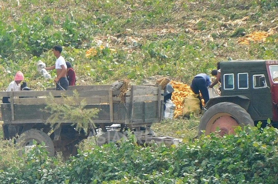 大規模価格調査で探る北朝鮮経済(4) 食糧と食品…凄まじい高騰続く 白米1~2キロがひと月の労賃 ロシア産小麦、大豆が大量流入