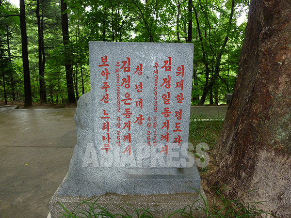 '김정일 동지, 김정은 동지가 보아주신 느티나무'라고 명문이 적힌 비석. 우습지만 경비의 대상일 것이다. 2011년 6월 강원도 원산농업대학에서 촬영. 박영민 (아시아프레스)