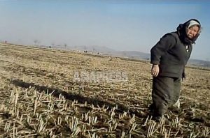 수확이 끝난 논에서 벼 이삭줍기를 하는 할머니. 2012년 11월 평안북도 신의주의 농촌에서 촬영 아시아프레스
