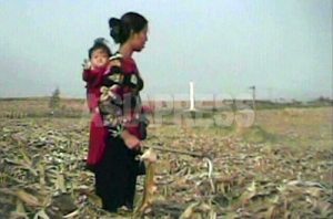 황해도 주민이 보는 김정은 시대 1년 (2) 실시되지 않은 농지분배
