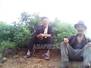 <사진보고> 산속의 몰래 일군 밭에서 일하는 빈곤층 '소처럼 밭 갈고 있어'