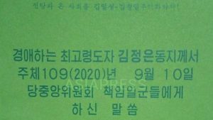 <비밀문서 입수> 남한 증오 부추기는 김정은 정권(1)  “오빠는 변태적”이라며 김정은이 직접 한류배격 지시