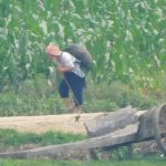 ＜북한 칠흑의 4년을 비추다＞ (4) “주민은 목 비틀린 상태다” 시장통제로 주민 밥줄 빼앗고 칼로리 통치하려는 국가