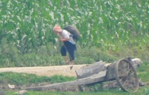 ＜북한 칠흑의 4년을 비추다＞ (4) “주민은 목 비틀린 상태다” 시장통제로 주민 밥줄 빼앗고 칼로리 통치하려는 국가