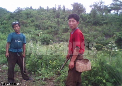 Farmers in a corn field. They are in the middle of planting beans in between the corn. When asked by the reporter if food for this year's rations had been collected yet, they responded that even if they wanted to give something, there were no crops to give yet. (June, 2010. Photo by Rimjin-gang reporter Kim Dong-cheol)　(C) ASIAPRESS