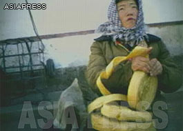 It is usually sold per kilo or meter. In this picture the woman cuts the belt according to the customer's order. It is also common in the capital city, Pyongyang. (Pyongyang. December, 2008. Taken by Lee Song-hui) ASIAPRESS