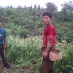 <N.Korea Crisis> Why is there a Food Shortage Crisis in the Breadbasket Region of Hwanghae? (PART2)