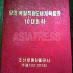 Program for the Legitimization of Kim Jong-un Regime