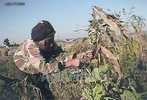 [Video Report] People under pressure for requisition of military provision