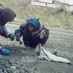 People Struggle To Collect Firewood for Winter